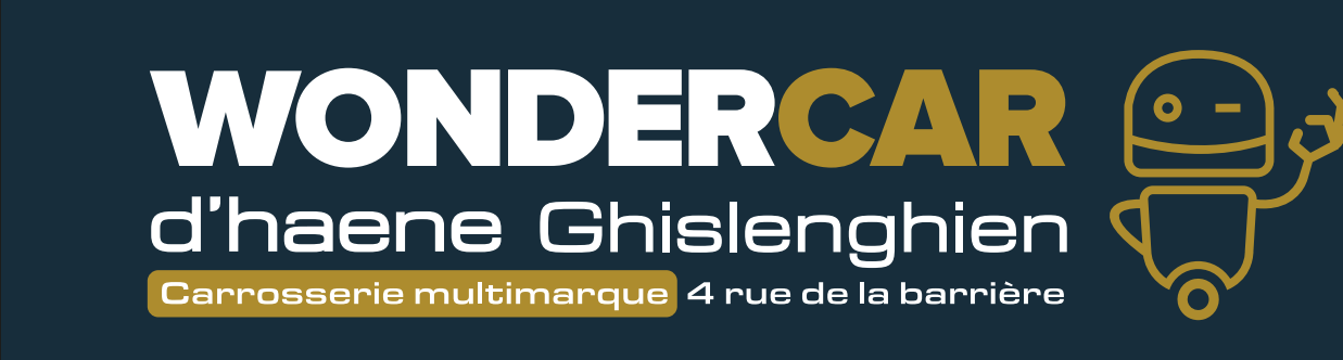 Wonder car d haene